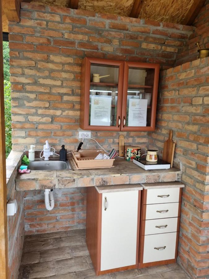 Hoopovo House Fruska Gora Vilă Irig